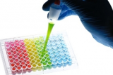 Animal cloning (Policy Brief 225) Animal cloning (Policy Brief 225)