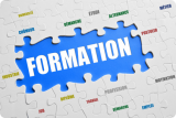 Note d'analyse 260 - L'enseignement professionnel initial dans le supérieur Note d'analyse 260 - L'enseignement professionnel initial dans le supérieur